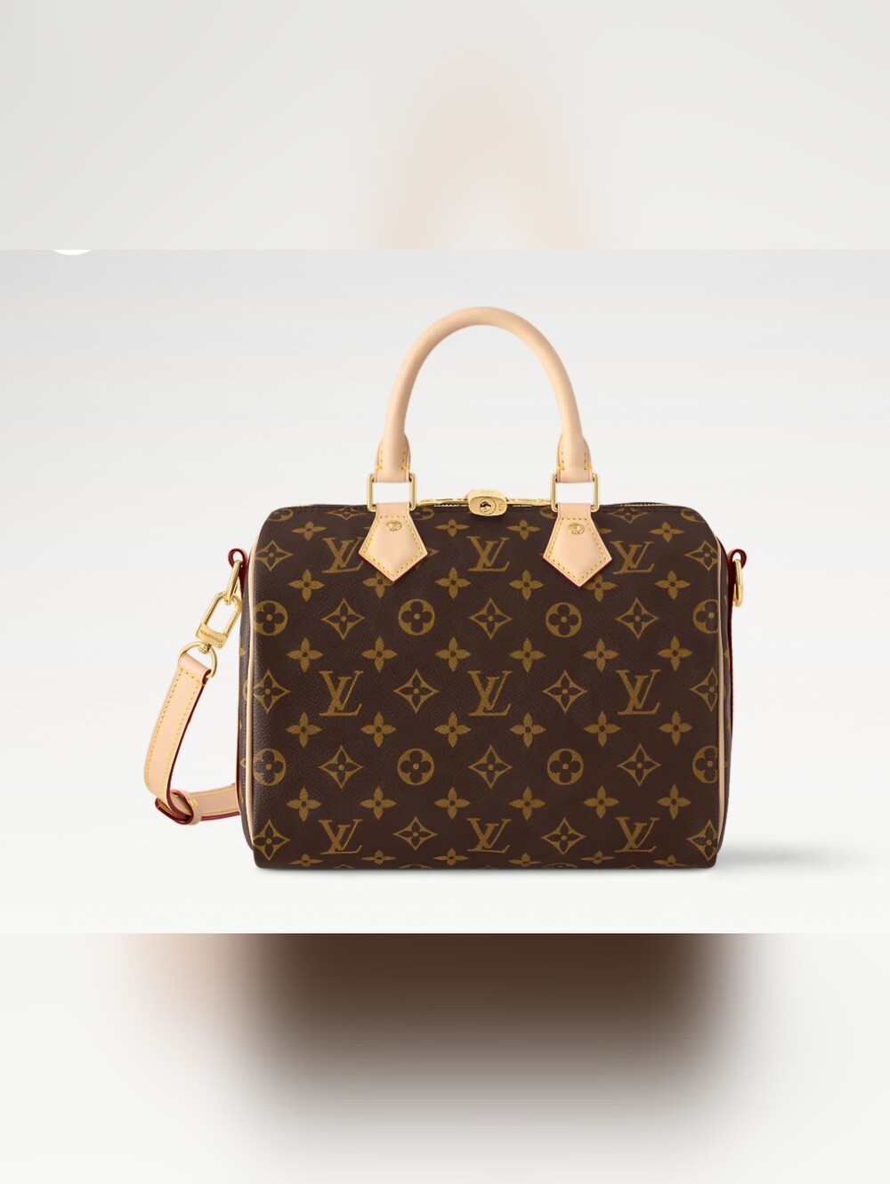 Louis Vuitton Speedy B 25